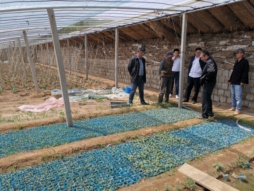 关于赴对口帮扶村调研(信息报道)2019.5.10.jpg